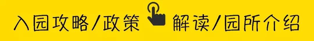 深圳福田区幼儿园,深圳福田区幼儿园排名一览表