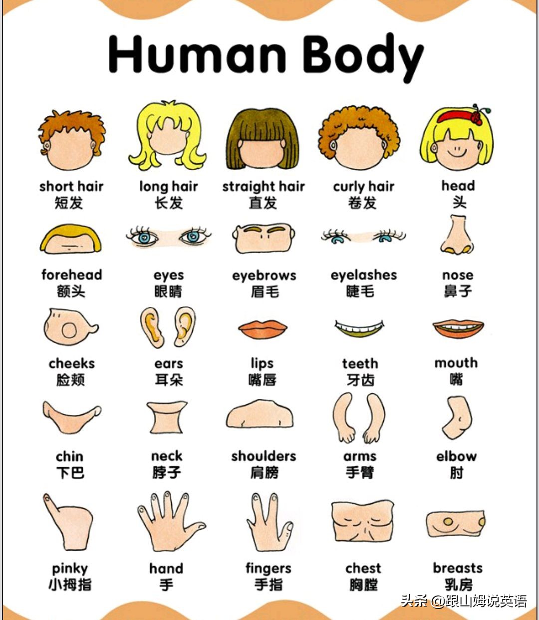 90幅图速记1000个初中英语单词,90幅图轻松记1000个单词