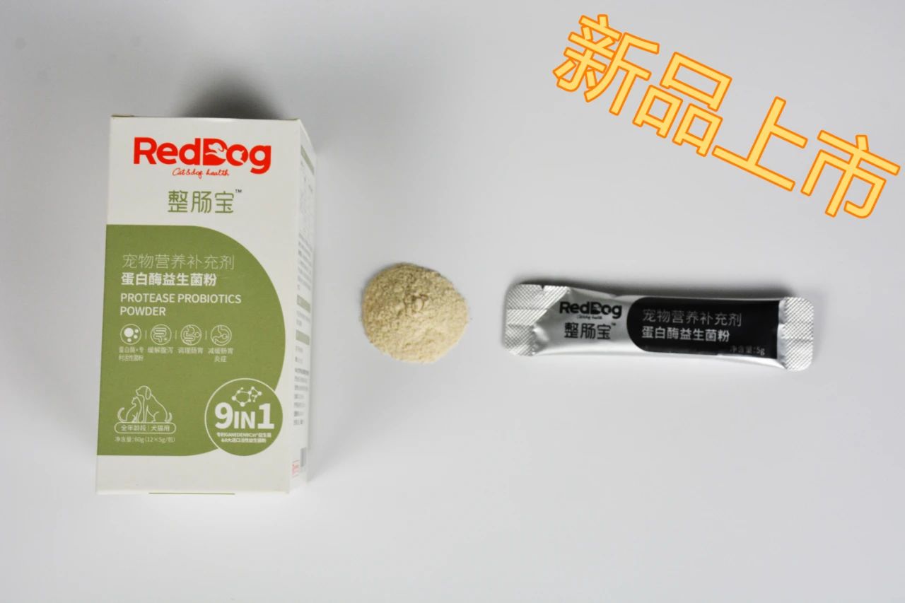 主人拉肚子了小猫咪会怎么办,猫主子拉稀