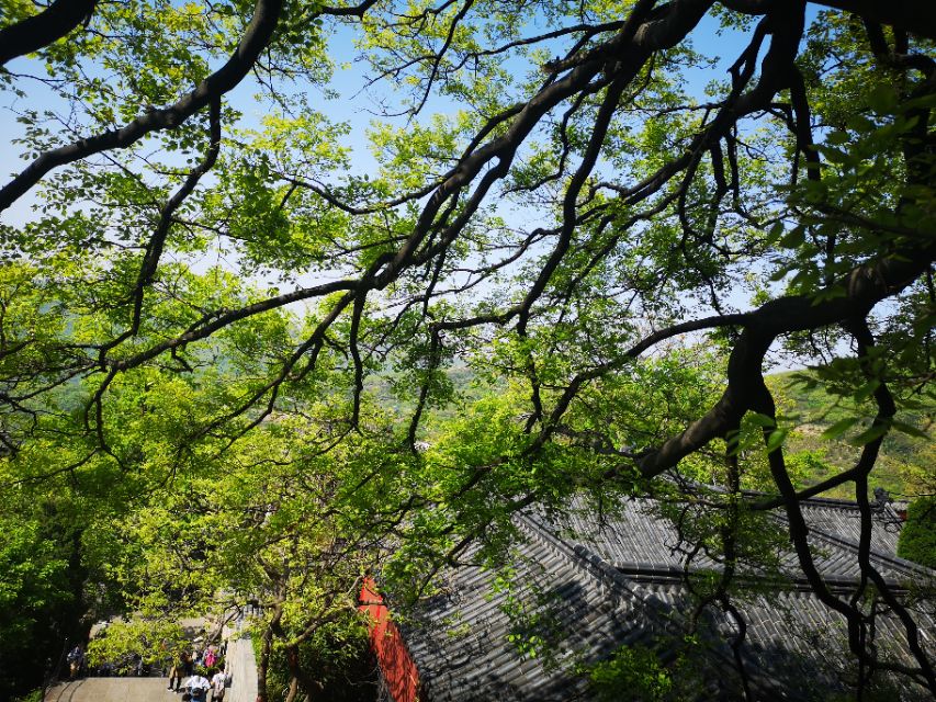 孙悟空的旅游胜地在什么地方,孙悟空的老家花果山水帘洞