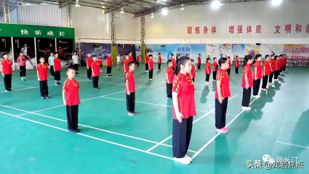 不断提升农产品附加值,闽西长汀县槟榔芋基地