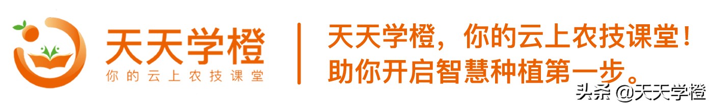 柑橘潜叶蛾的危害症状及防治措施,柑橘潜叶蛾防治最佳方法