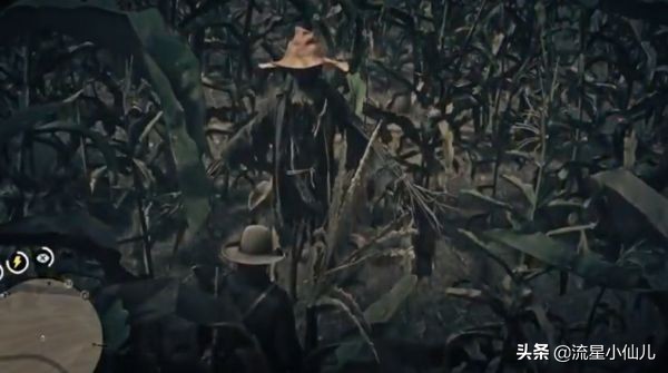 荒野大镖客捡的帽子怎么保存,荒野大镖客打掉三个人的帽子