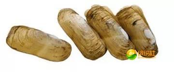 舟山4月份海鲜攻略,舟山海鲜代加工攻略