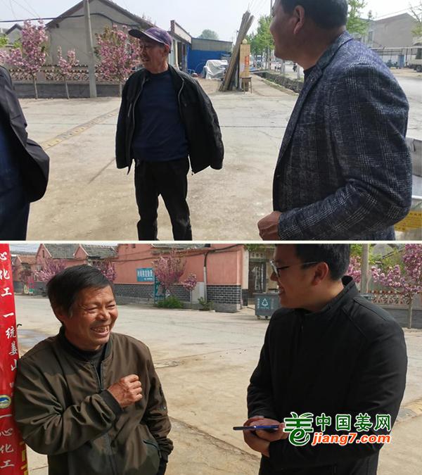 莱芜生姜一亩产量,莱芜生姜已拥有多少年的种植历史