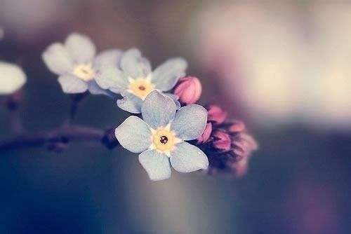 最艰难的时候熬过去就好,最艰难的时刻坚持