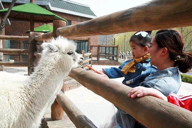 大连东泉温泉营业时间,大连石河氡泉温泉价目表