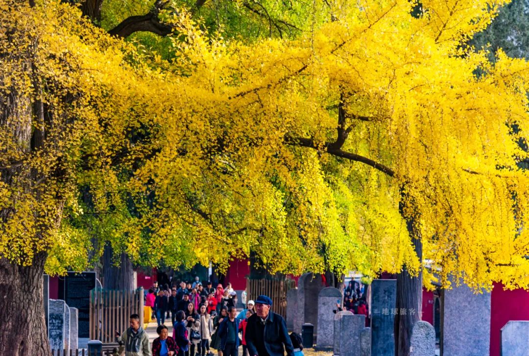 中岳嵩山跟嵩山少林有什么区别吗,被低估的嵩山不止有少林