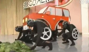 岛国9.5分神综艺：除了蠢到家的作品，还有大家灿烂的笑脸