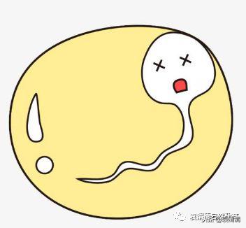 精子的十三种死法