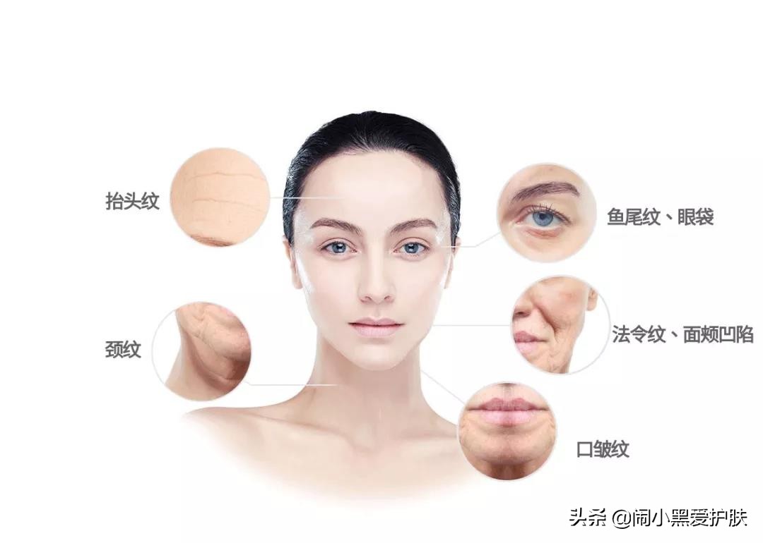 卡项专栏｜童颜紧致肌肤，追溯本原自己