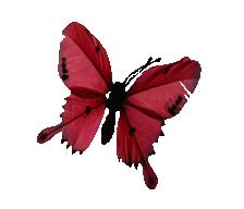 韩国美妆推荐bb霜,韩国再生bb霜图片