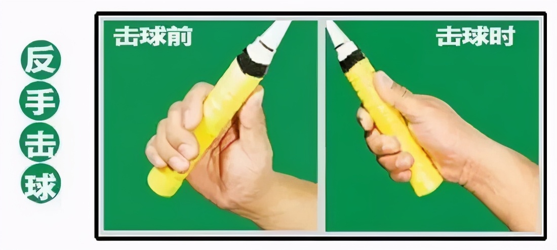 金秋诗画（学羽精华33.发力技巧）