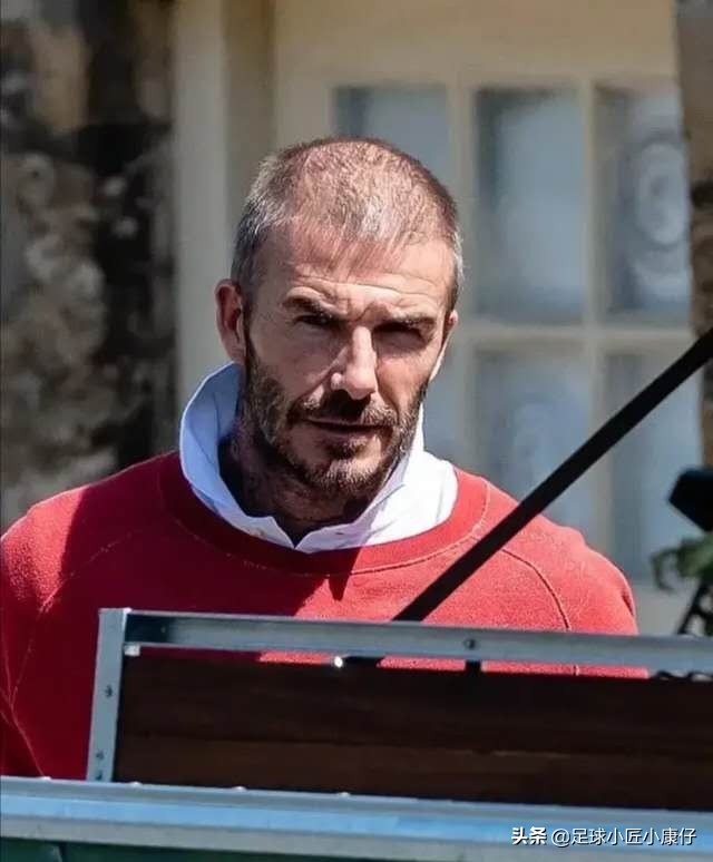 老贝与小贝的对话,小贝和老贝的区别