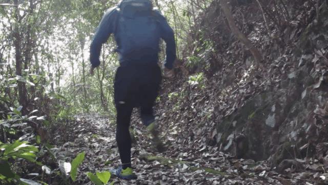 拓乐车顶行李框测评,车顶自行车架拓乐