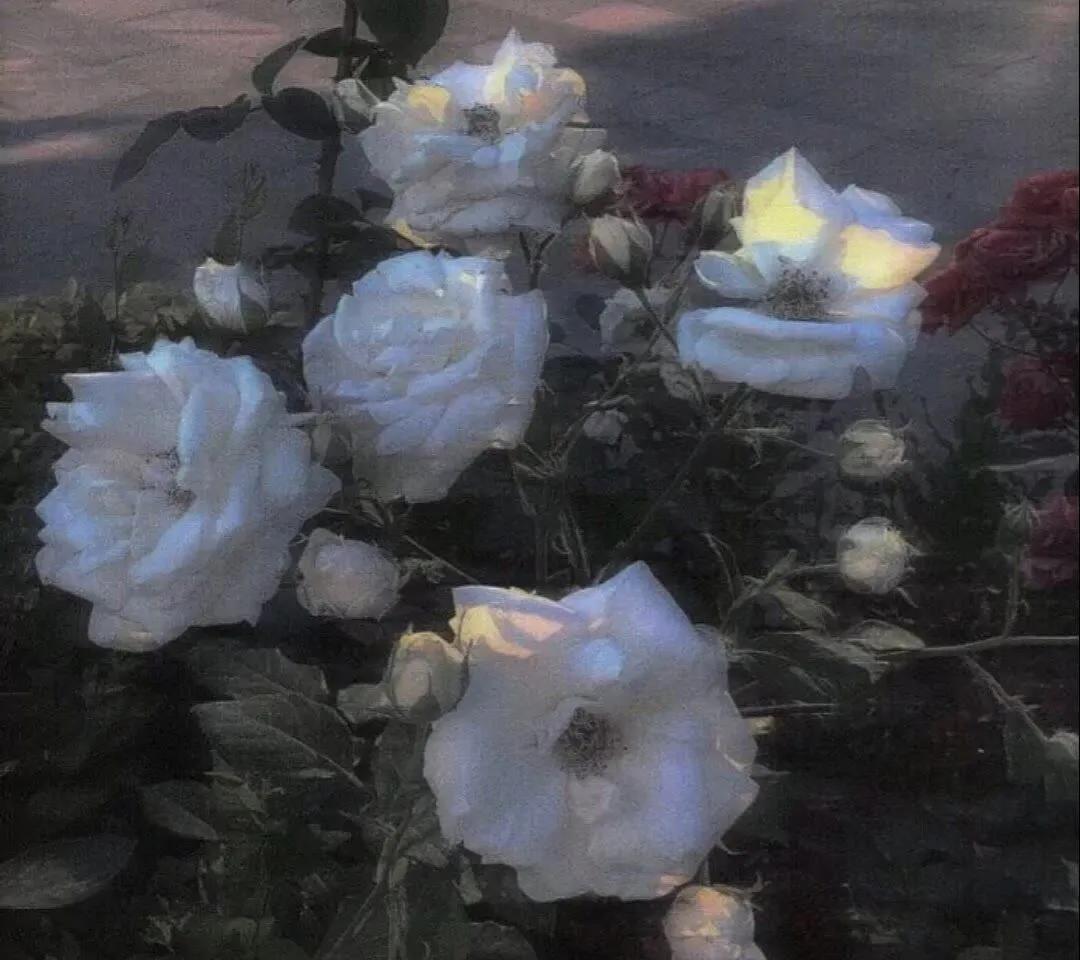 宇航员动态壁纸高清全屏120帧竖屏,太空壁纸高清4k宇航员火箭卡通