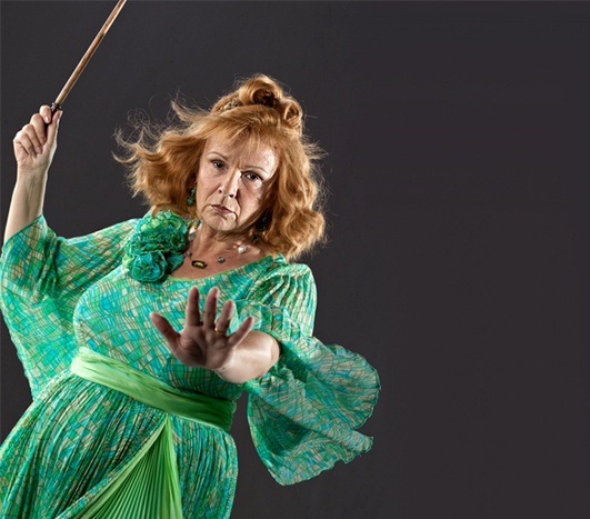 哈利波特十大最受喜爱人物,哈利波特中最受欢迎的10个人物