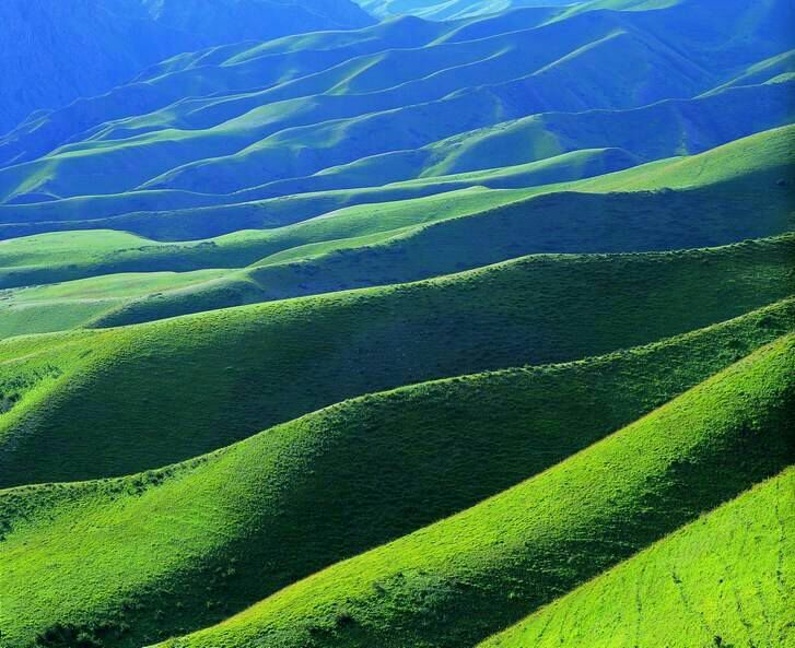 *疆新**是个好地方作者：刘尊鑫