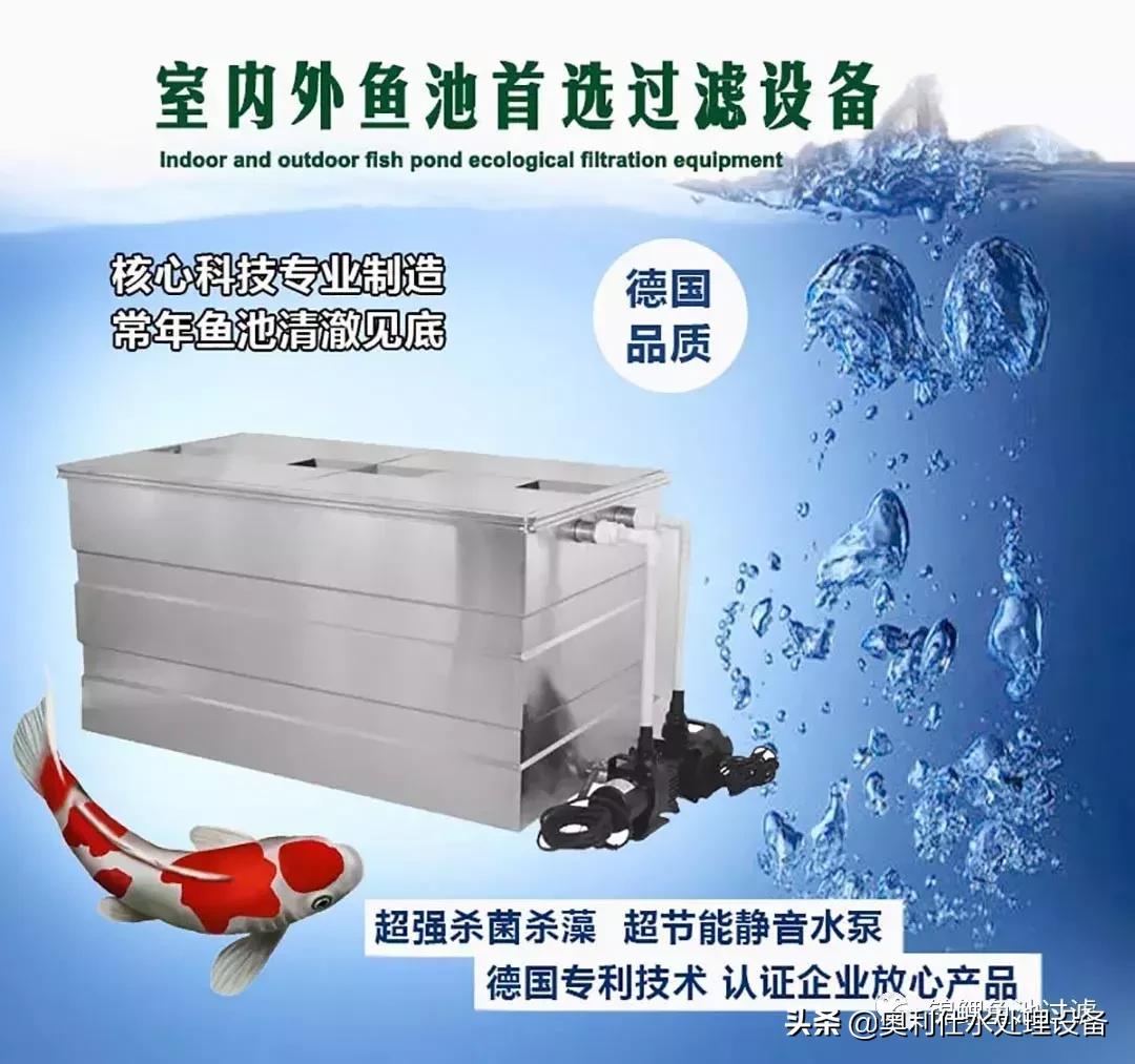 锦鲤鱼池过滤仓建造过程视频,锦鲤鱼池最好的过滤方式