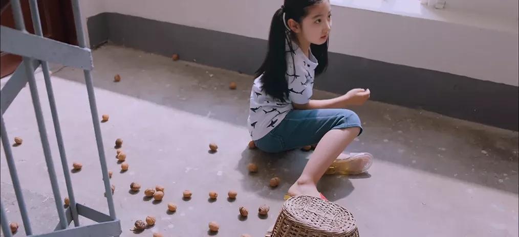 教科书式的老爸,教科书式的父亲电影