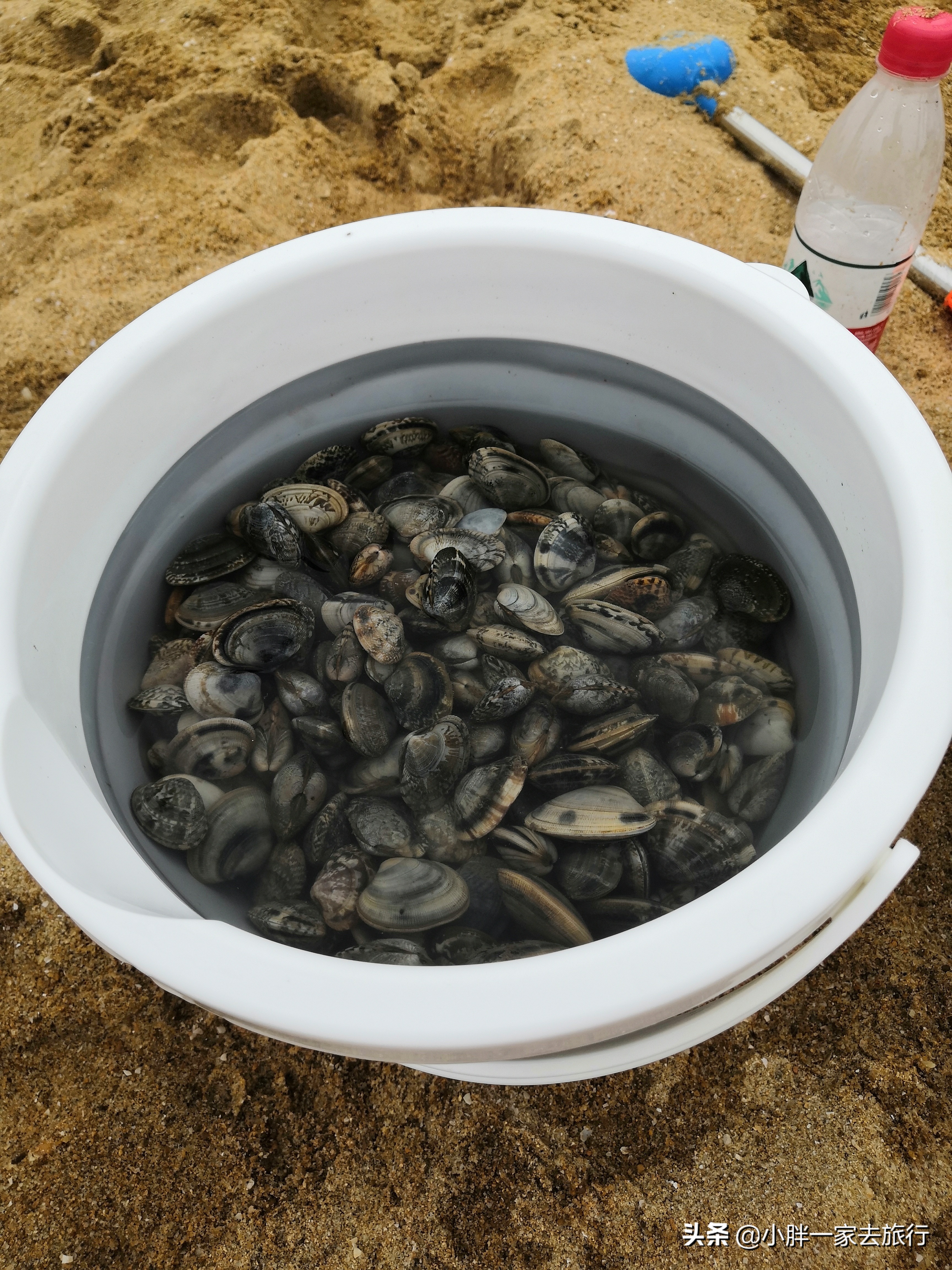 天津拾贝赶海,天津滨海新区赶海拾贝时间表