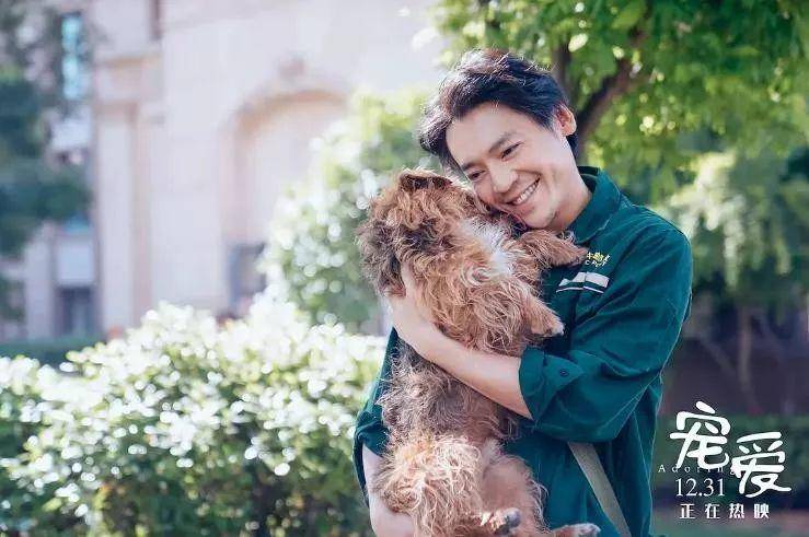 流浪狗狗遇到爱它的主人,流浪狗需要被疼爱