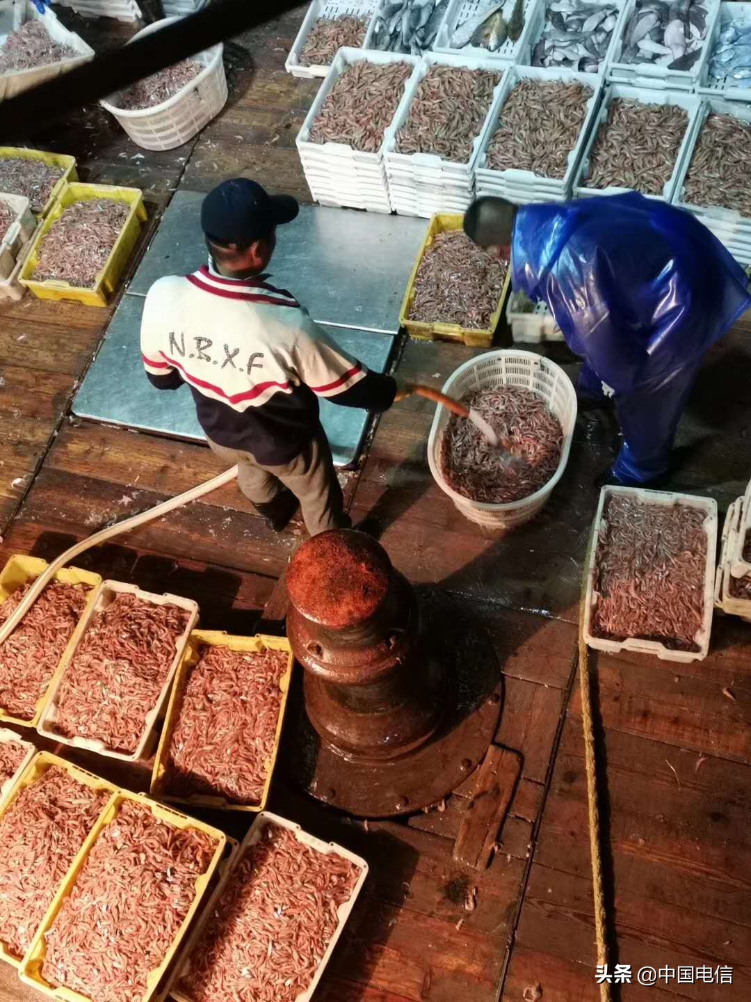 电信5g信号变成了2g,电信5g让手机流量网速变快