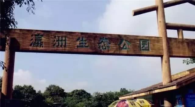 广州地铁直达的打卡地,广州地铁打卡好玩的地方