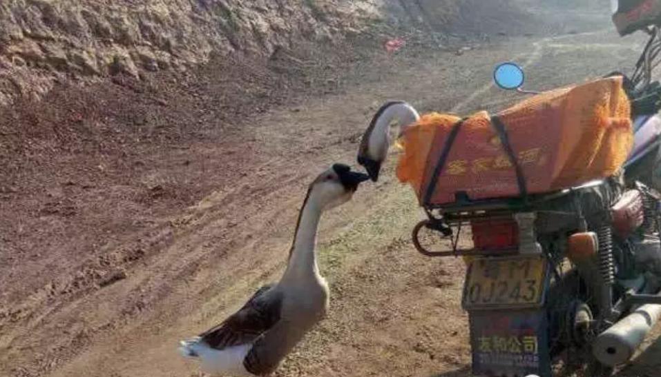 带你认识韶关,带你认识梅州