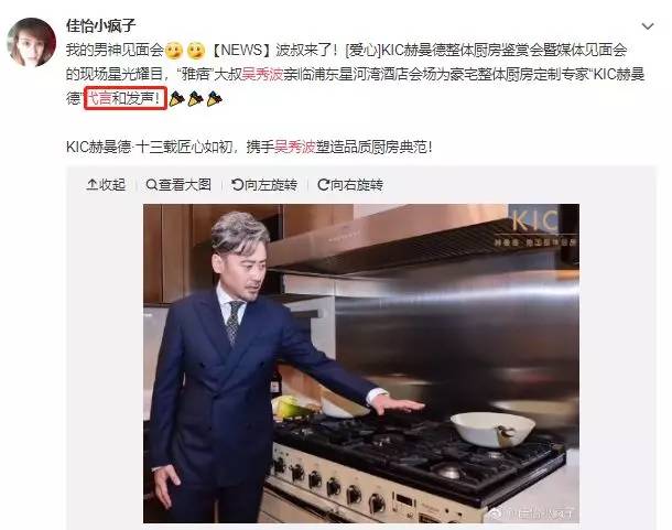 吴秀波女友被判多少年,吴秀波立案侦查合集