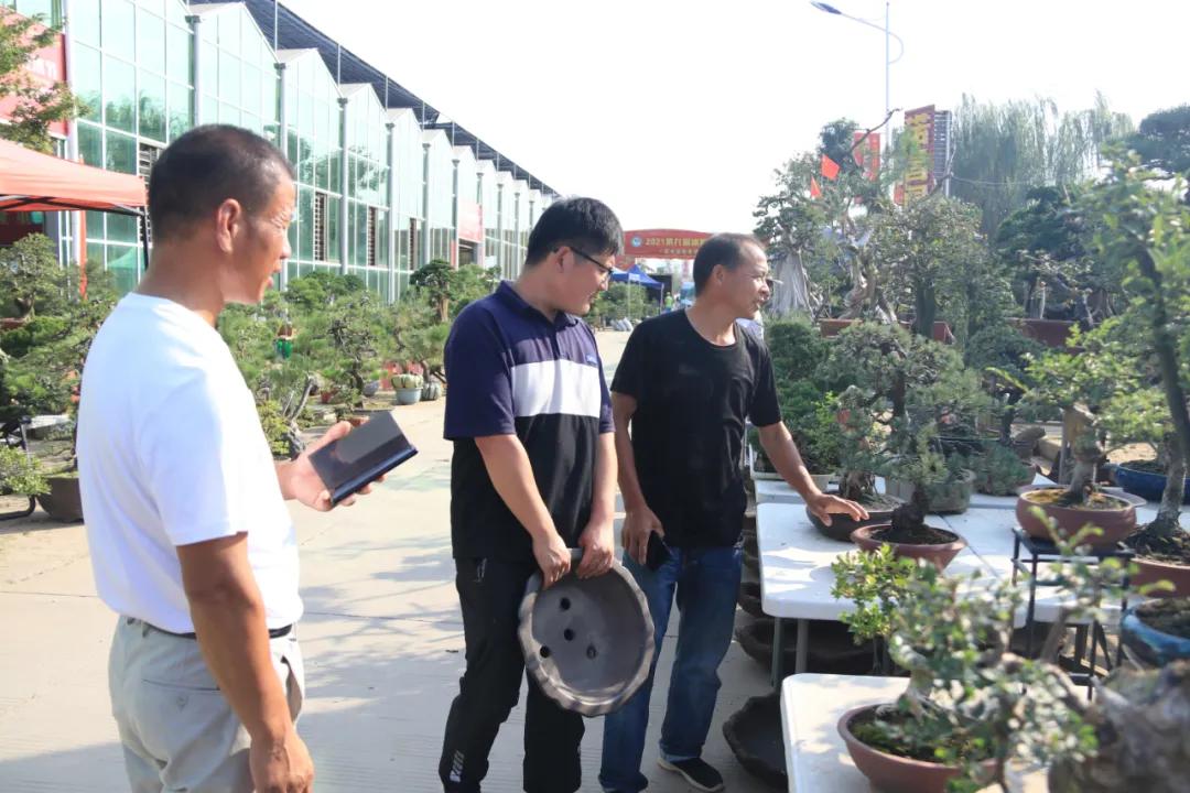 花木盆景活动,秋冬季花木节盆景展