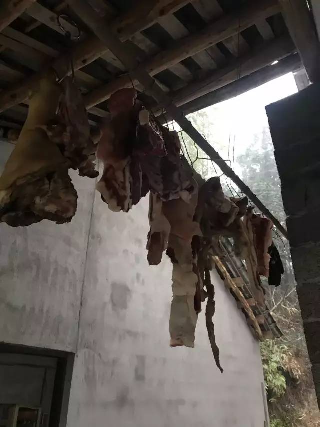 湖南益阳被救女孩,湖南益阳女子被救助