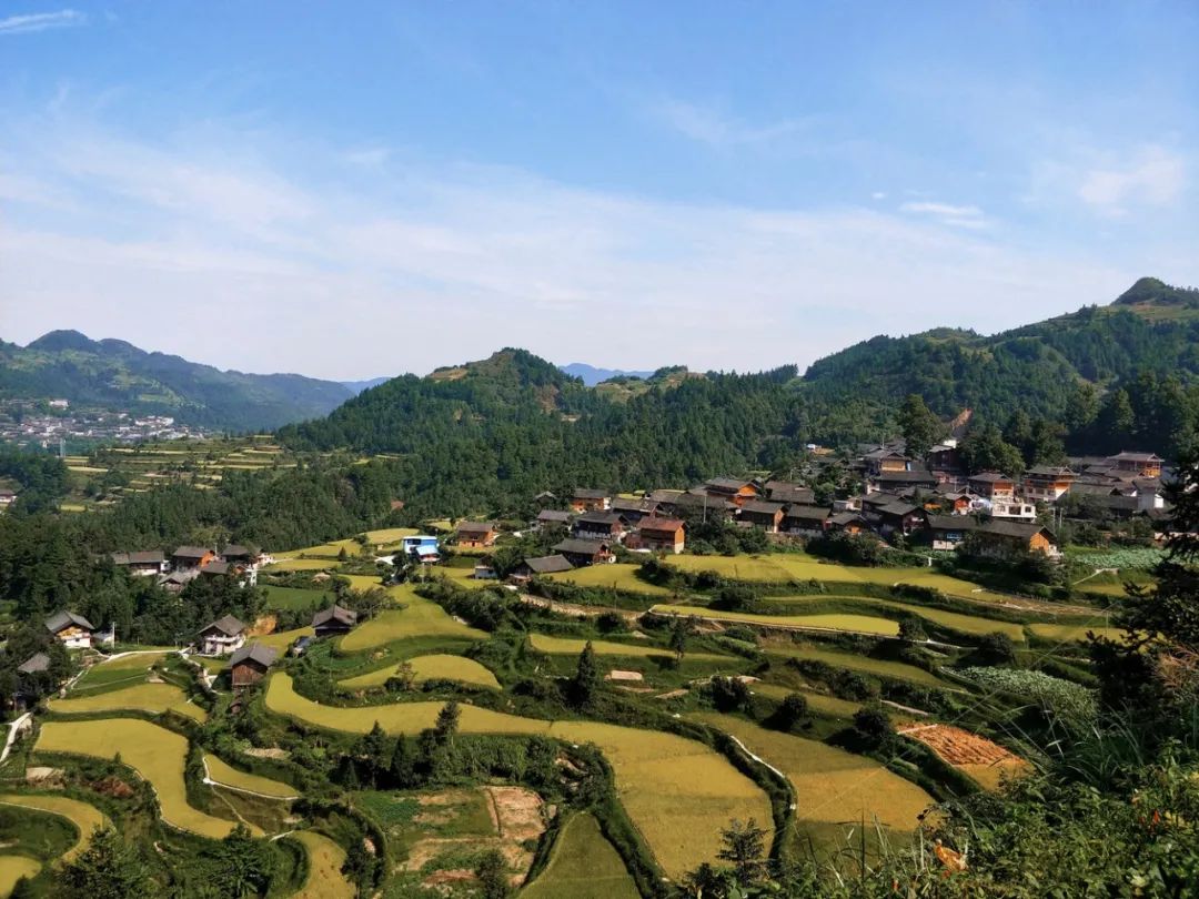 高端民宿一年营业成本600万,年赚百万的旅游民宿