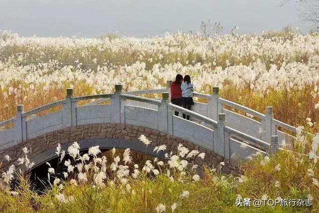 长沙竟隐藏着这些世外桃源,其实长沙还藏着很多小众景点