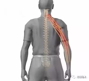 脖子越来越粗是什么原因造成的,脖子粗怎么判断是病了还是胖了