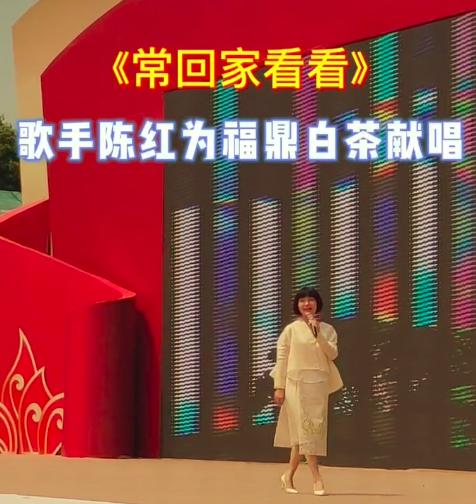 歌星陈红现状视频,歌星陈红近况怎样