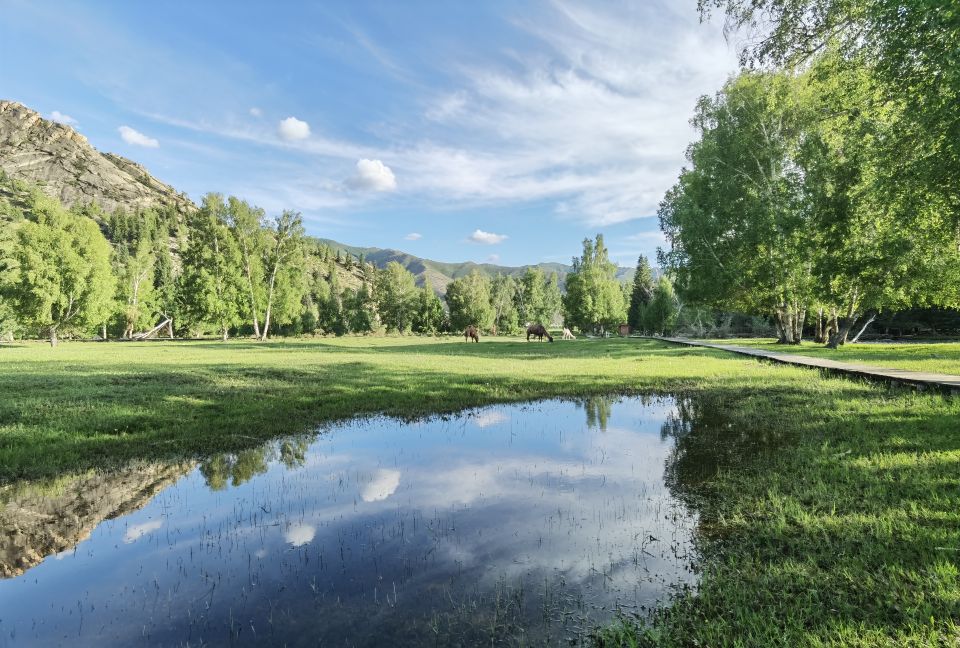 新疆天路可可托海,坐大巴从新疆去哈萨克斯坦