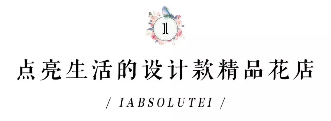 在花园里和鲜花为伴,在花店与鲜花为伴