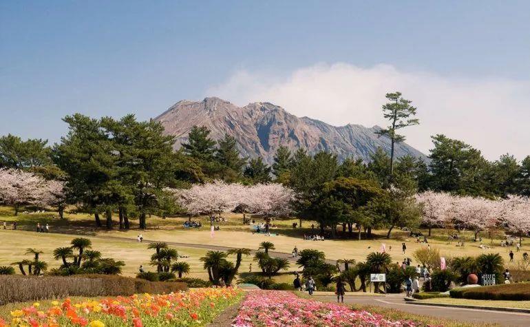 比大熊猫还濒危的小熊猫,比熊猫更稀有的小熊