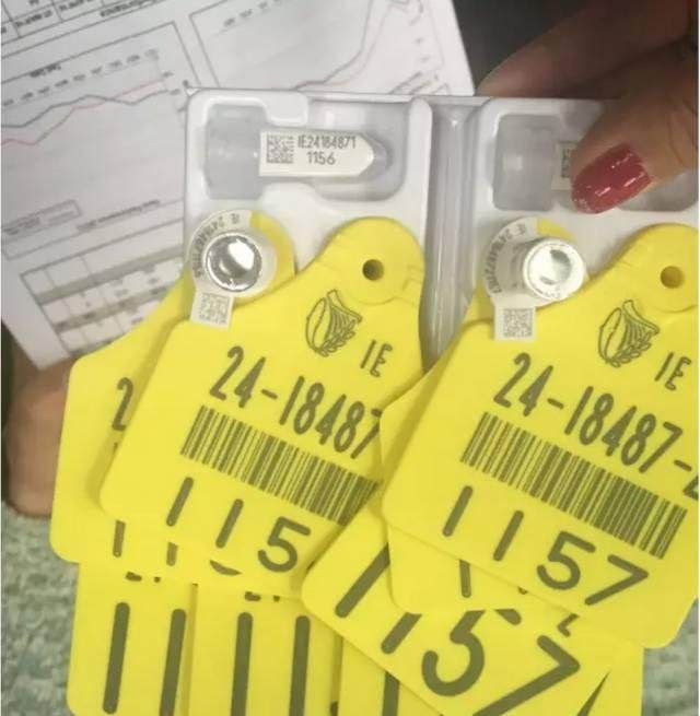 如何选择价钱合适的婴儿奶粉,3段奶粉怎么选择合适的