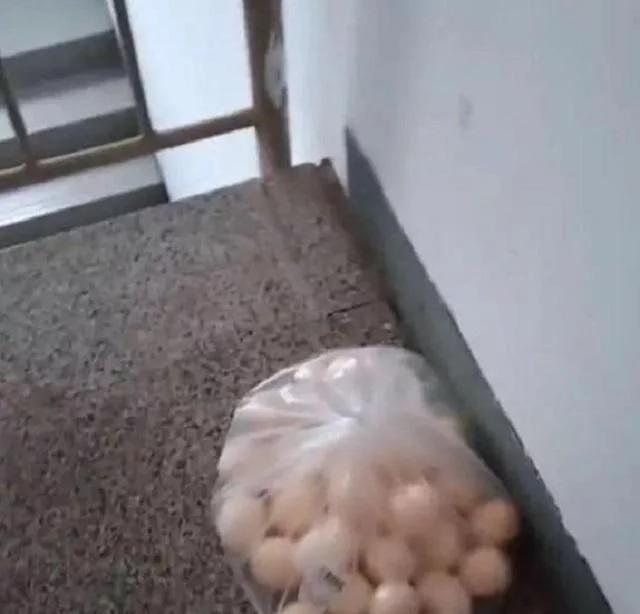 楼上邻居总蹭网，小伙改掉wifi密码，隔天门上的纸条令他感动不已