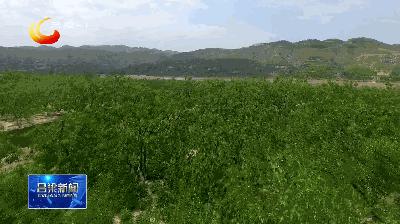 「深入学习贯彻市第五次*党**代会精神」柳林:沿黄旅游公路助力乡村振兴