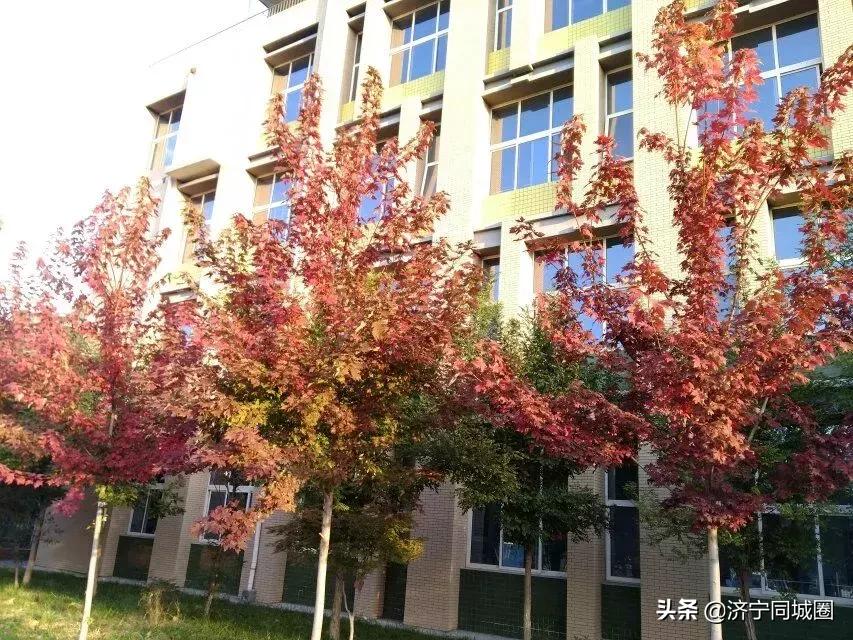 兖州实小宿舍,兖州实小老照片