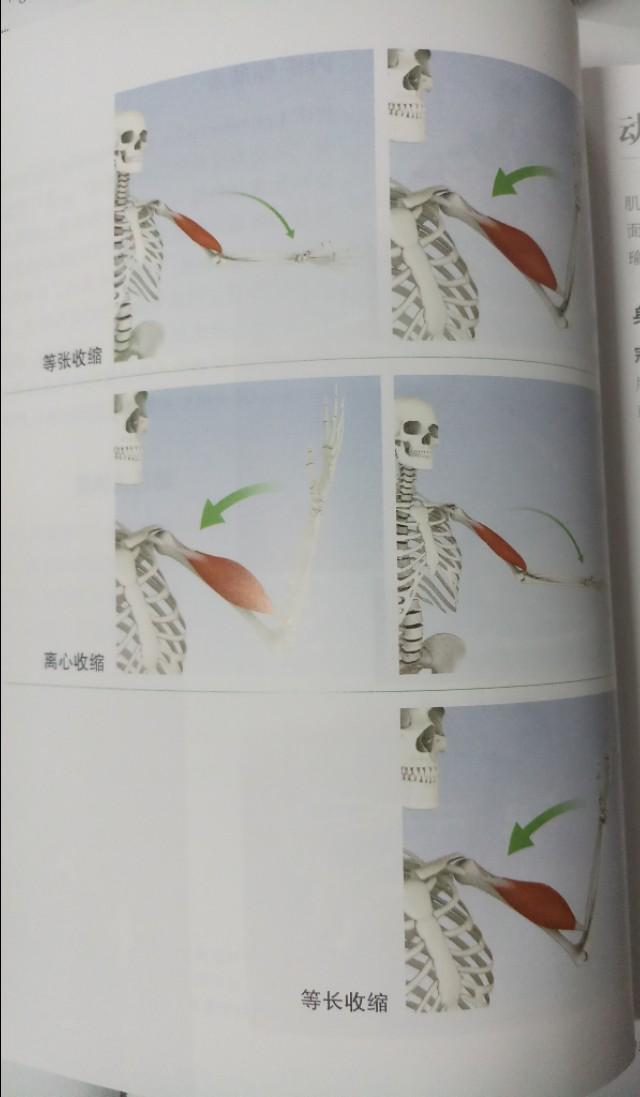 横叉练完回功了怎么办,练习横叉膝盖内侧疼痛