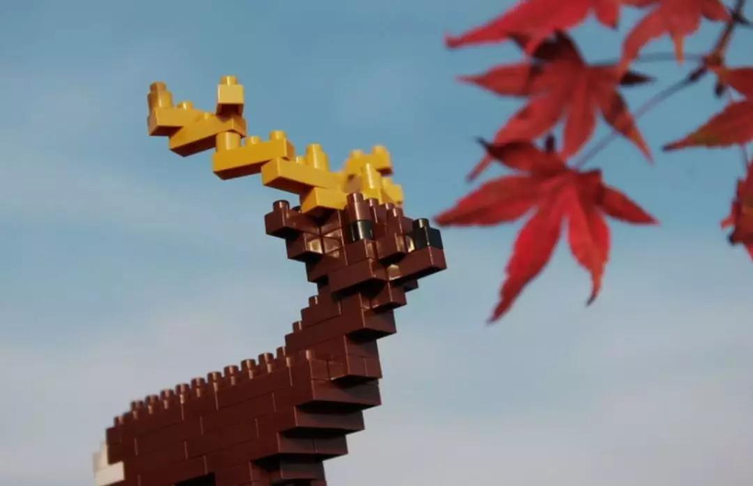 出不了门只能在家玩吗,出不了门只能陪小孩玩