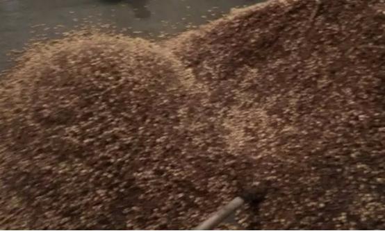 如何用家用酿酒设备酿造出优质酒,白酒酿酒设备和技术