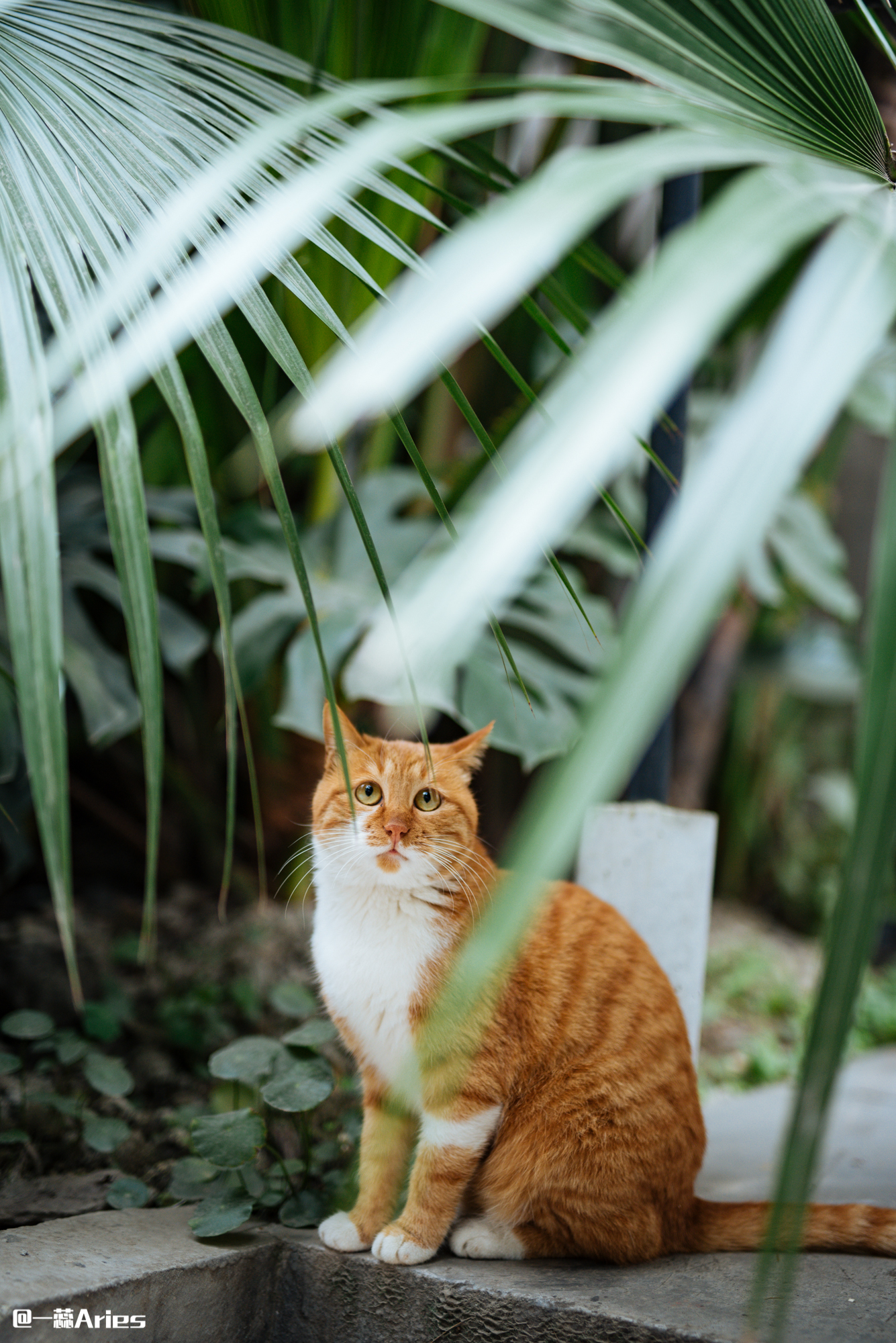 成都值得看的文创园区,成都创意文创园区