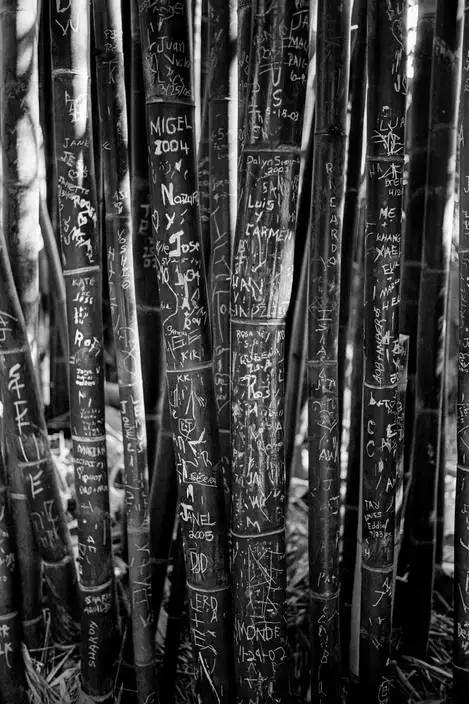 自学成才的摄影师——DavidHurn