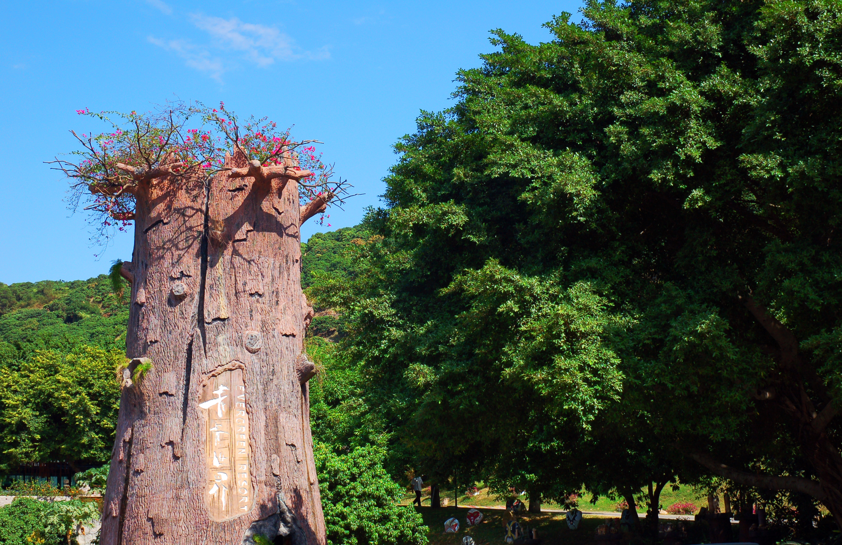 五一黄金周景区促销方案,五一旅游必看的10个项目