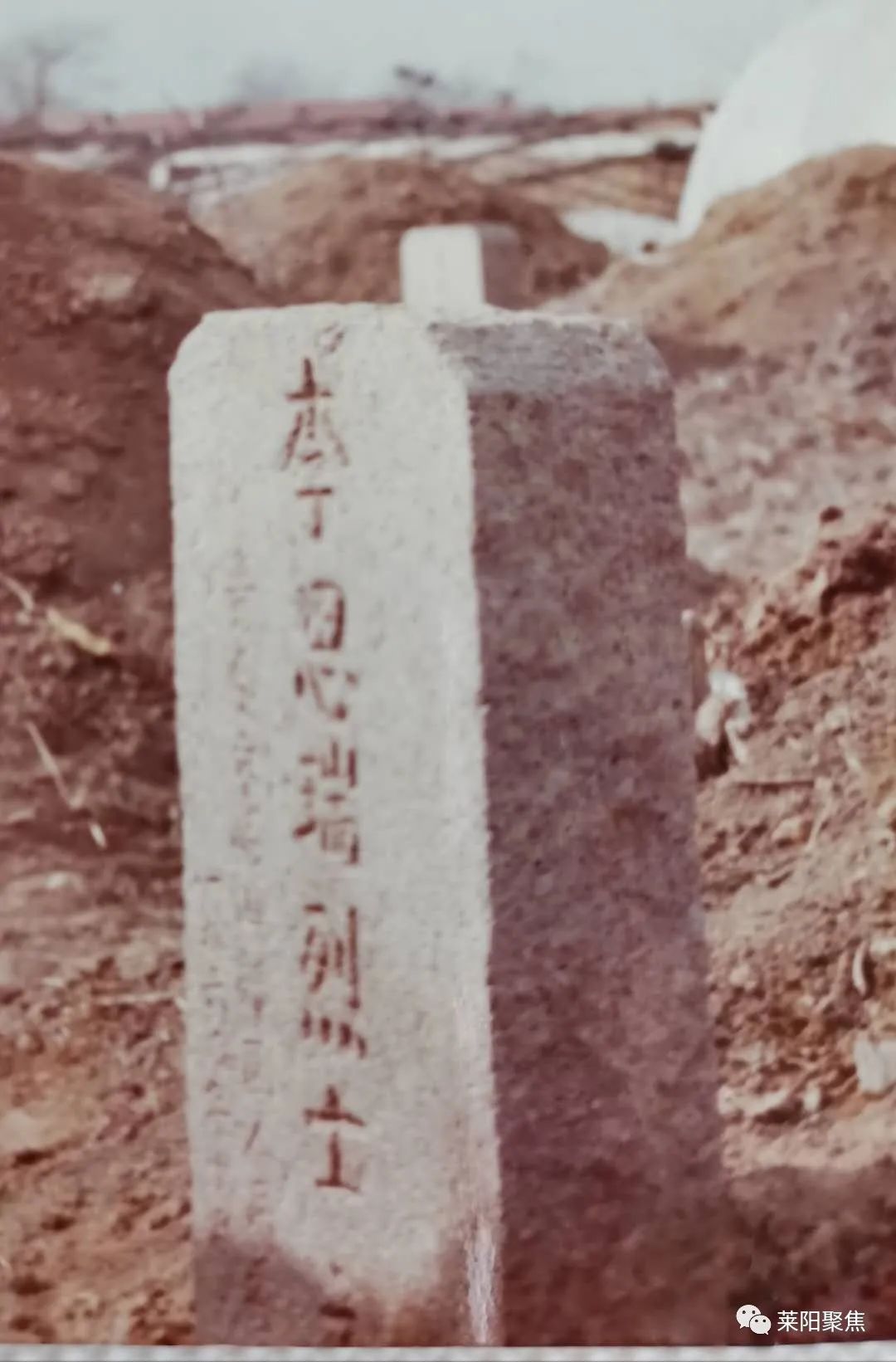 聚焦莱阳孙瑞,莱阳聚焦两会